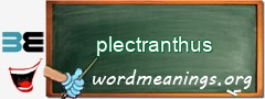 WordMeaning blackboard for plectranthus